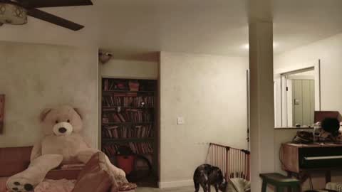 Snapshot of kaileeshy chatting on November 27, 2025, 4:58 am Kailee Smile online show from November 27, 2025, 4:58 am