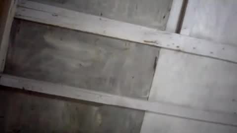 kakaroto30102 online show from February 17, 2025, 8:09 am