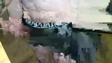 MusicMen49 online show from December 22, 2024, 8:27 am