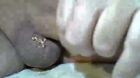 Snapshot of kangarooh66 chatting on November 24, 2025, 7:52 am Kangarooh66 online show from November 24, 2025, 7:52 am