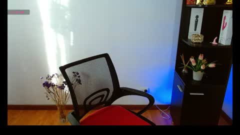 Snapshot of karime_lee chatting on July 28, 2026, 9:47 pm karime lee online show from July 28, 2026, 9:47 pm