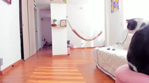 Snapshot of karlye_5 chatting on January 22, 2025, 2:24 pm Karlye online show from January 22, 2025, 2:24 pm