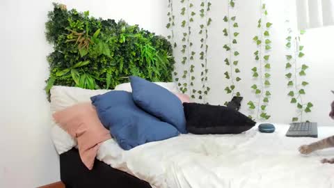 Snapshot of karlye_5 chatting on February 9, 2025, 5:54 pm Karlye online show from February 9, 2025, 5:54 pm