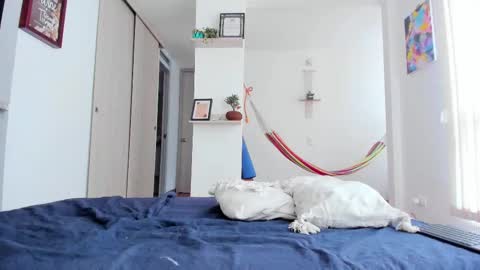 Snapshot of karlye_5 chatting on February 19, 2025, 4:33 pm Karlye online show from February 19, 2025, 4:33 pm