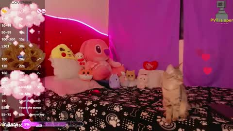 karol online show from November 18, 2025, 11:25 am