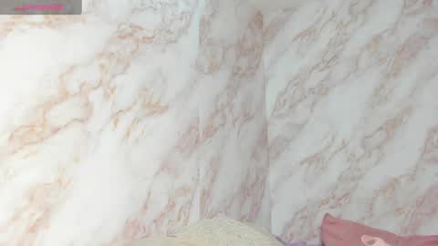 Snapshot of kaseydelvey chatting on January 15, 2025, 6:51 pm online show from January 15, 2025, 6:51 pm