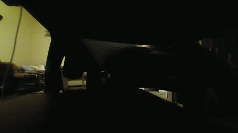 Snapshot of kaskaderns chatting on January 29, 2025, 9:50 pm Stojko online show from January 29, 2025, 9:50 pm