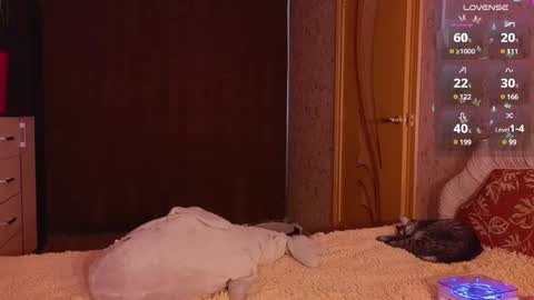 Kate online show from December 29, 2024, 1:02 am