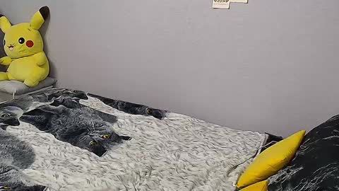 KathrineBerry online show from January 31, 2025, 2:07 pm