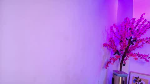 Katrina online show from December 13, 2025, 7:53 pm