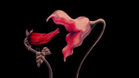 Snapshot of katsurotaro chatting on November 14, 2025, 9:24 pm katsuro online show from November 14, 2025, 9:24 pm