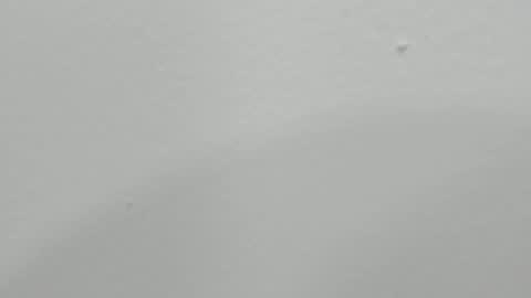 katy blonde girl and paola big boobs online show from January 17, 2025, 1:47 am