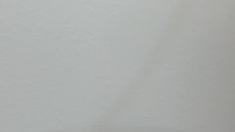 katy blonde girl and paola big boobs online show from February 13, 2025, 7:21 pm