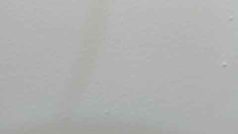 katy blonde girl and paola big boobs online show from February 26, 2025, 7:38 pm