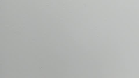 katy blonde girl and paola big boobs online show from September 17, 2025, 7:37 pm