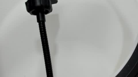 katy blonde girl and paola big boobs online show from September 26, 2025, 7:29 pm