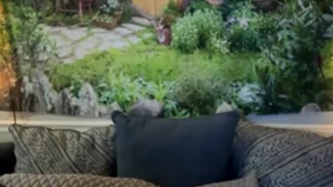 Snapshot of katy_chris chatting on June 4, 2026, 6:19 am katy_chris online show from June 4, 2026, 6:19 am
