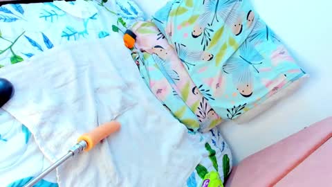 lilii-pety online show from January 30, 2025, 4:06 am