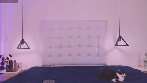 Cattleya stone online show from February 18, 2025, 4:04 am