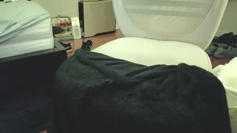 Snapshot of kayishard chatting on February 9, 2025, 6:01 am KayisHard online show from February 9, 2025, 6:01 am