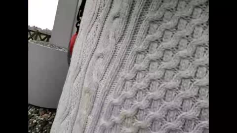 Snapshot of kenhiking chatting on February 19, 2026, 5:25 am kenhiking online show from February 19, 2026, 5:25 am