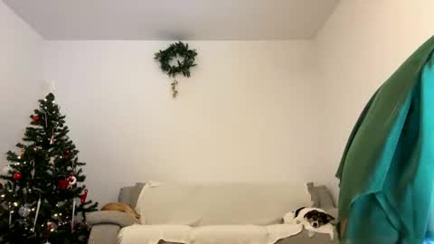 Kenna next time online - 2nd of Dec online show from December 23, 2024, 1:03 pm