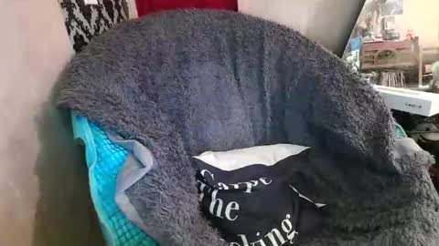 Snapshot of kennedynova777 chatting on December 20, 2025, 9:22 pm Kennedy Nova online show from December 20, 2025, 9:22 pm