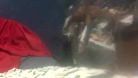 kevin168042 online show from March 19, 2026, 8:46 pm