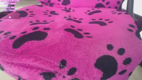 Kevin online show from February 2, 2026, 5:00 pm