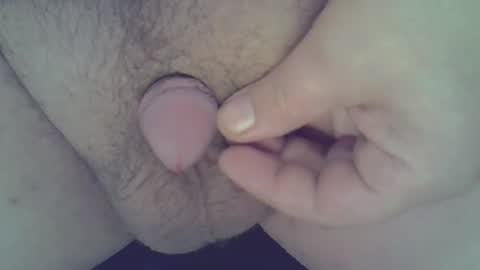 maggot online show from December 21, 2024, 3:25 am