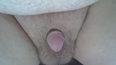 maggot online show from March 8, 2025, 4:34 am