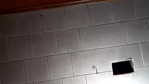 kfrost380 online show from October 26, 2025, 9:31 pm