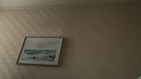 Snapshot of khelt chatting on February 6, 2026, 1:47 pm khelt online show from February 6, 2026, 1:47 pm