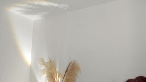 Kim Murphy online show from March 14, 2026, 6:46 pm