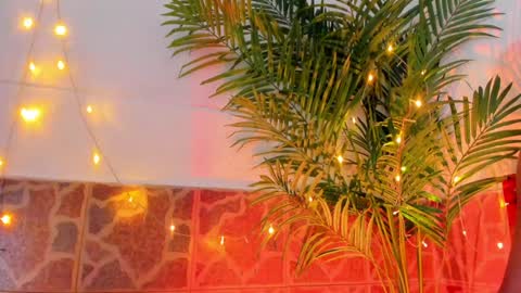 Snapshot of kimberly_gonzalez1 chatting on January 17, 2025, 3:45 am kimberly gonzalez online show from January 17, 2025, 3:45 am