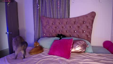 Snapshot of kinkydoll_ chatting on December 11, 2024, 10:16 pm Sara online show from December 11, 2024, 10:16 pm