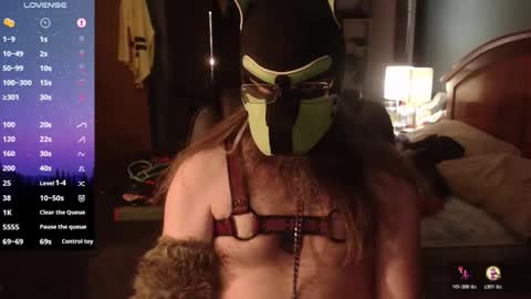 kinkywolf87 online show from April 26, 2026, 6:33 am
