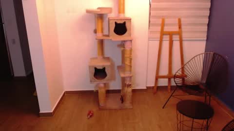 kintsugi online show from November 7, 2025, 4:01 am