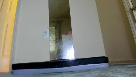 Snapshot of kira_mask chatting on May 19, 2026, 8:26 pm kira_mask online show from May 19, 2026, 8:26 pm