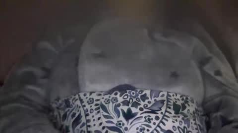 Snapshot of kissandtell1357 chatting on October 24, 2025, 6:48 pm kissandtell1357 online show from October 24, 2025, 6:48 pm