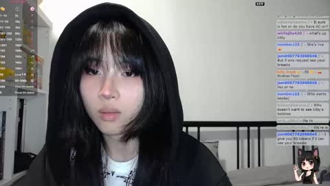 Snapshot of kitty_krush chatting on November 7, 2025, 2:00 am Kitty online show from November 7, 2025, 2:00 am