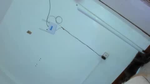 Grace online show from February 25, 2025, 2:47 am