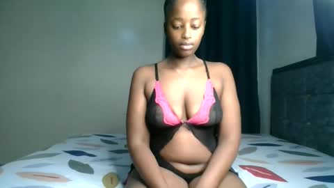 Kittypettite online show from March 12, 2026, 8:53 am