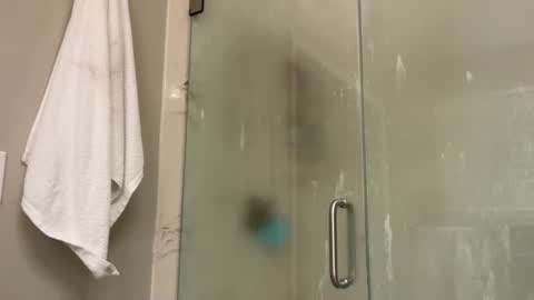 kittypurr79 online show from January 2, 2025, 12:02 am