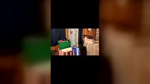 kittypurrrrry online show from March 31, 2026, 5:13 pm