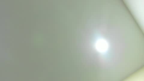 Kiwi online show from February 6, 2026, 12:08 pm