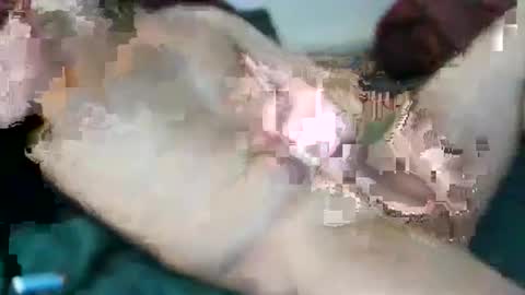 kloeyhoottoyboy online show from March 21, 2026, 1:54 am