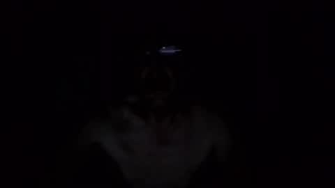 kobolt67 online show from October 9, 2025, 4:54 am