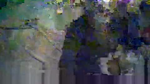 Snapshot of koelie1982 chatting on June 8, 2026, 11:16 pm koelie1982 online show from June 8, 2026, 11:16 pm