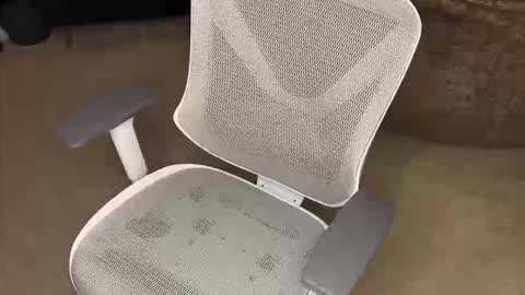 Snapshot of koryoncam chatting on December 16, 2025, 9:58 am your hairy neighbor online show from December 16, 2025, 9:58 am